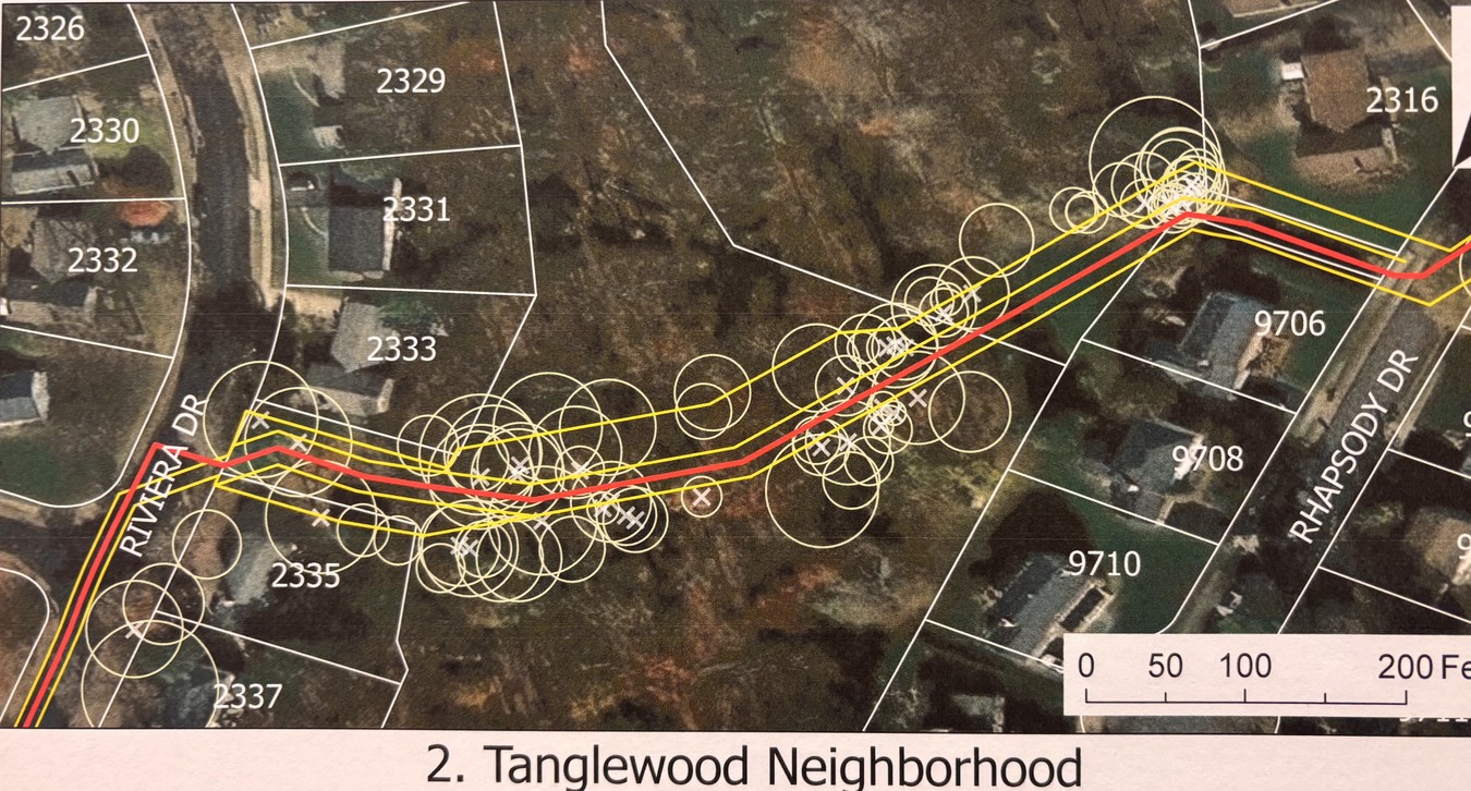 Alignment and tree impact in park and adjacent areas