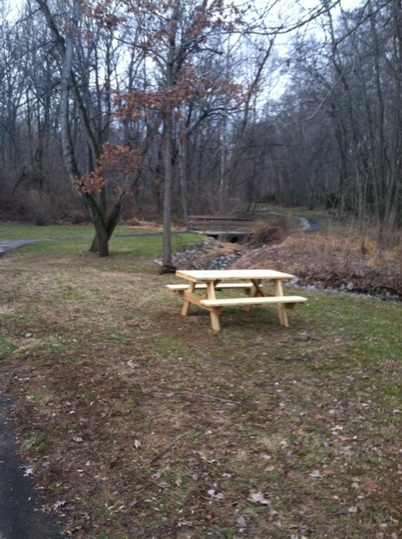 Table below Rhapsody entrance